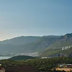 Kaktus 2 * Kas