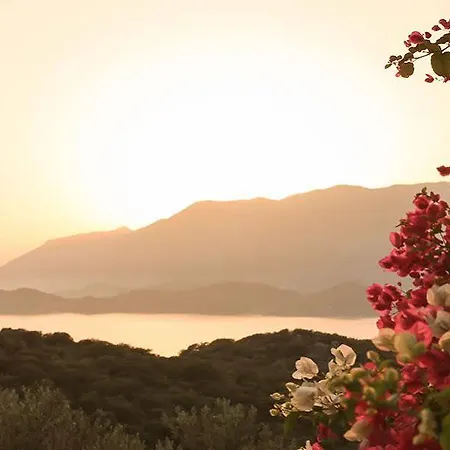Kaktus 2 Villa Kaş