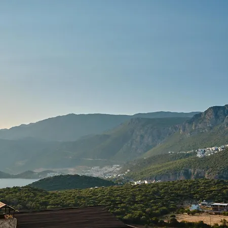 Kaktus 2 * Kaş