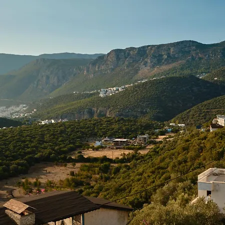Kaktus 2 Villa